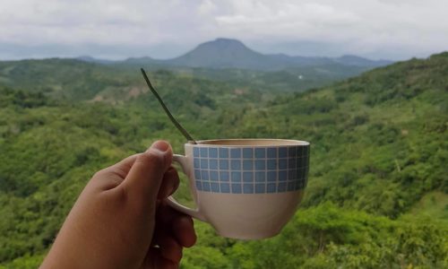 buenas coffee